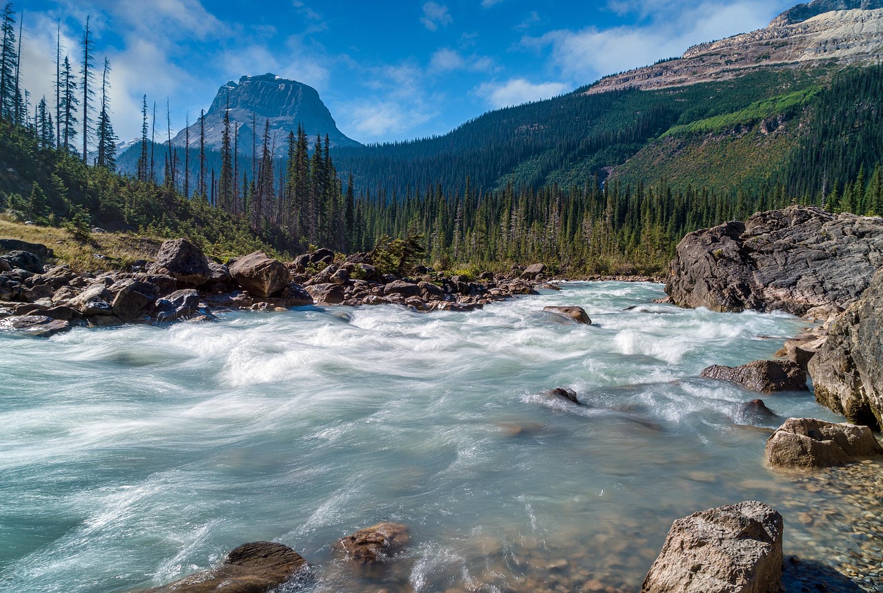 River, trees, mountains — How Toto Broadcast Brings You Closer to Game-Day Excitement