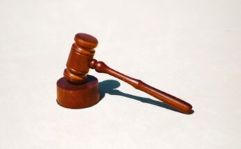 Wooden gavel on a light surface